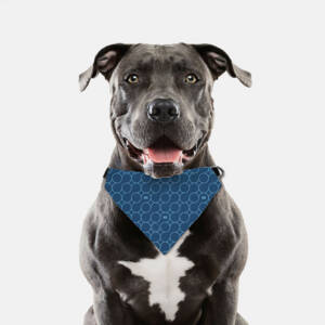 Pet Collar Bandana