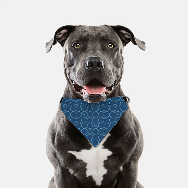 Pet Collar Bandana