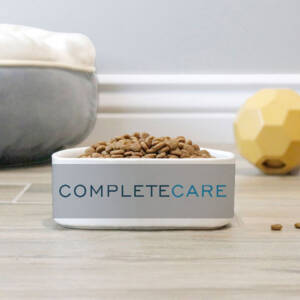 Pet Bowl